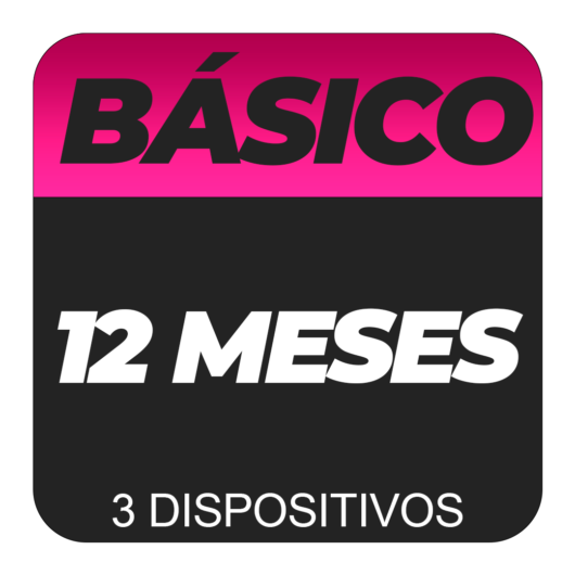 Básico 12 Meses